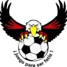 Carfut Cd. Guzman